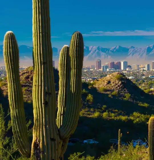 Cover image for City of Phoenix, AZ