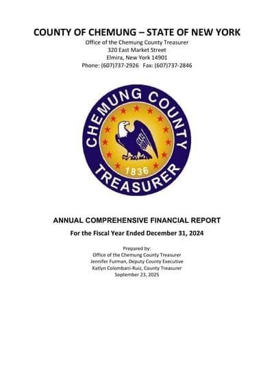 Chemung County Treasurer ACFR Cover